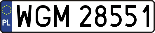WGM28551