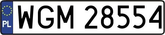 WGM28554