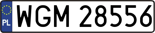 WGM28556