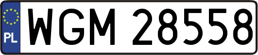 WGM28558