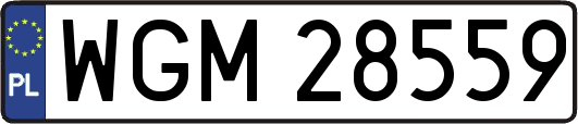 WGM28559