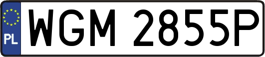 WGM2855P