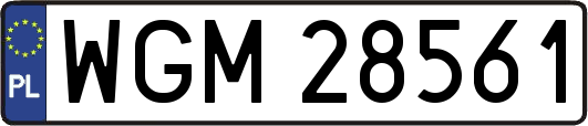WGM28561
