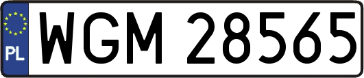 WGM28565