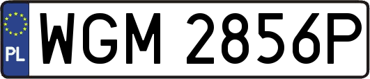 WGM2856P