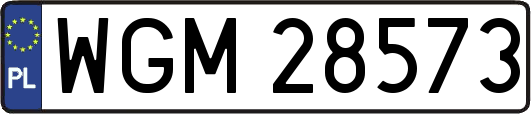 WGM28573