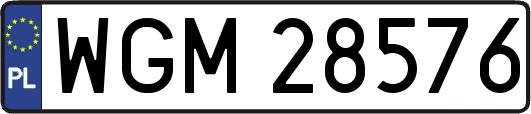 WGM28576