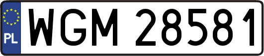 WGM28581