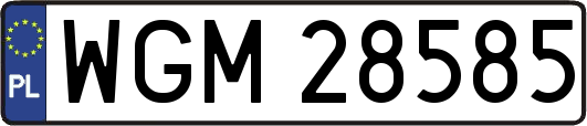 WGM28585