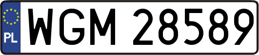 WGM28589