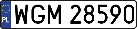 WGM28590