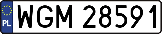 WGM28591