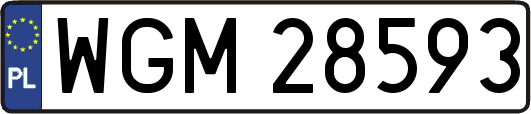 WGM28593