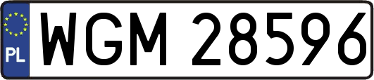 WGM28596