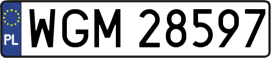 WGM28597