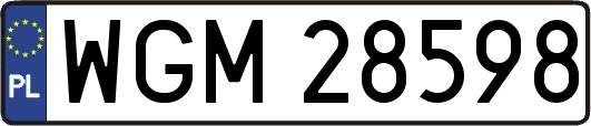 WGM28598