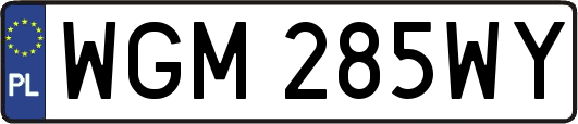 WGM285WY