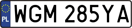 WGM285YA