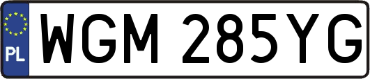 WGM285YG