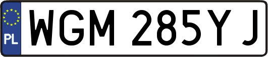 WGM285YJ