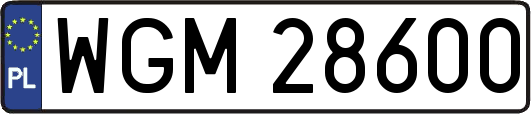 WGM28600