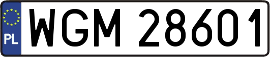 WGM28601