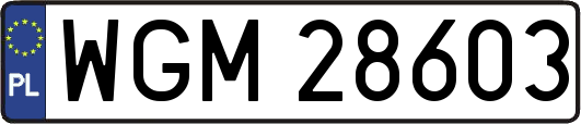 WGM28603