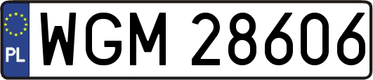 WGM28606