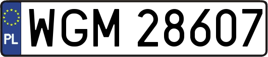 WGM28607