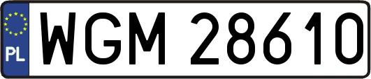 WGM28610