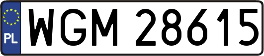 WGM28615