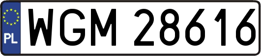 WGM28616