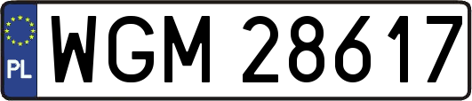WGM28617