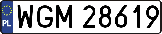 WGM28619
