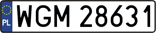 WGM28631