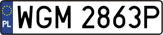 WGM2863P
