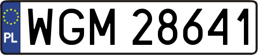 WGM28641