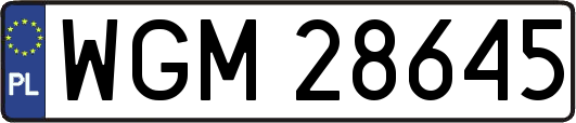 WGM28645