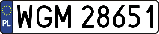 WGM28651