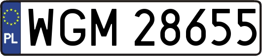 WGM28655