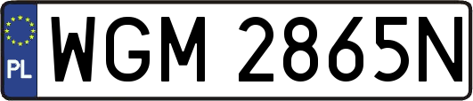 WGM2865N
