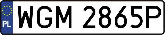 WGM2865P