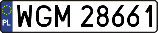 WGM28661
