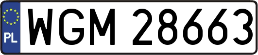 WGM28663