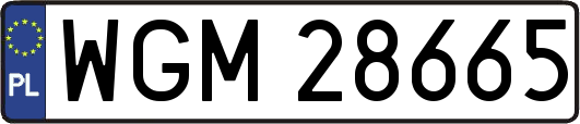 WGM28665