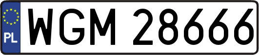 WGM28666