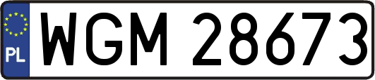 WGM28673