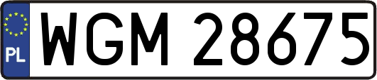 WGM28675