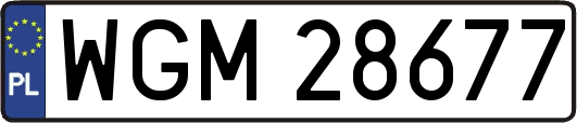 WGM28677