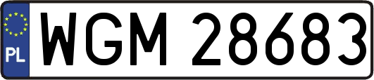 WGM28683